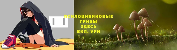 героин Алексин