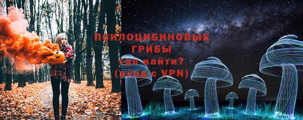 прущая мука Арсеньев