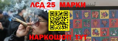 крисы Ипатово