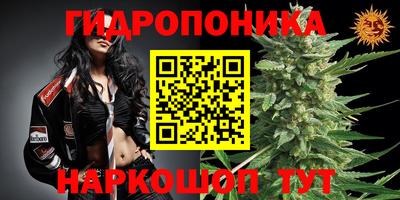 крисы Ипатово