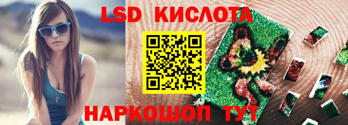 ЛСД экстази ecstasy  Вход с VPN  Новозыбков 