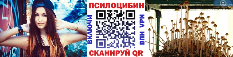 Галлюциногенные грибы прущие грибы  блэк спрут рабочий сайт  Новозыбков 