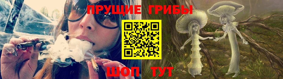 Галлюциногенные грибы мухоморы  Вход с VPN  Галлюциногенные грибы MAGIC MUSHROOMS  Новозыбков 